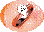 {short description of image}