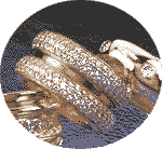 {short description of image}
